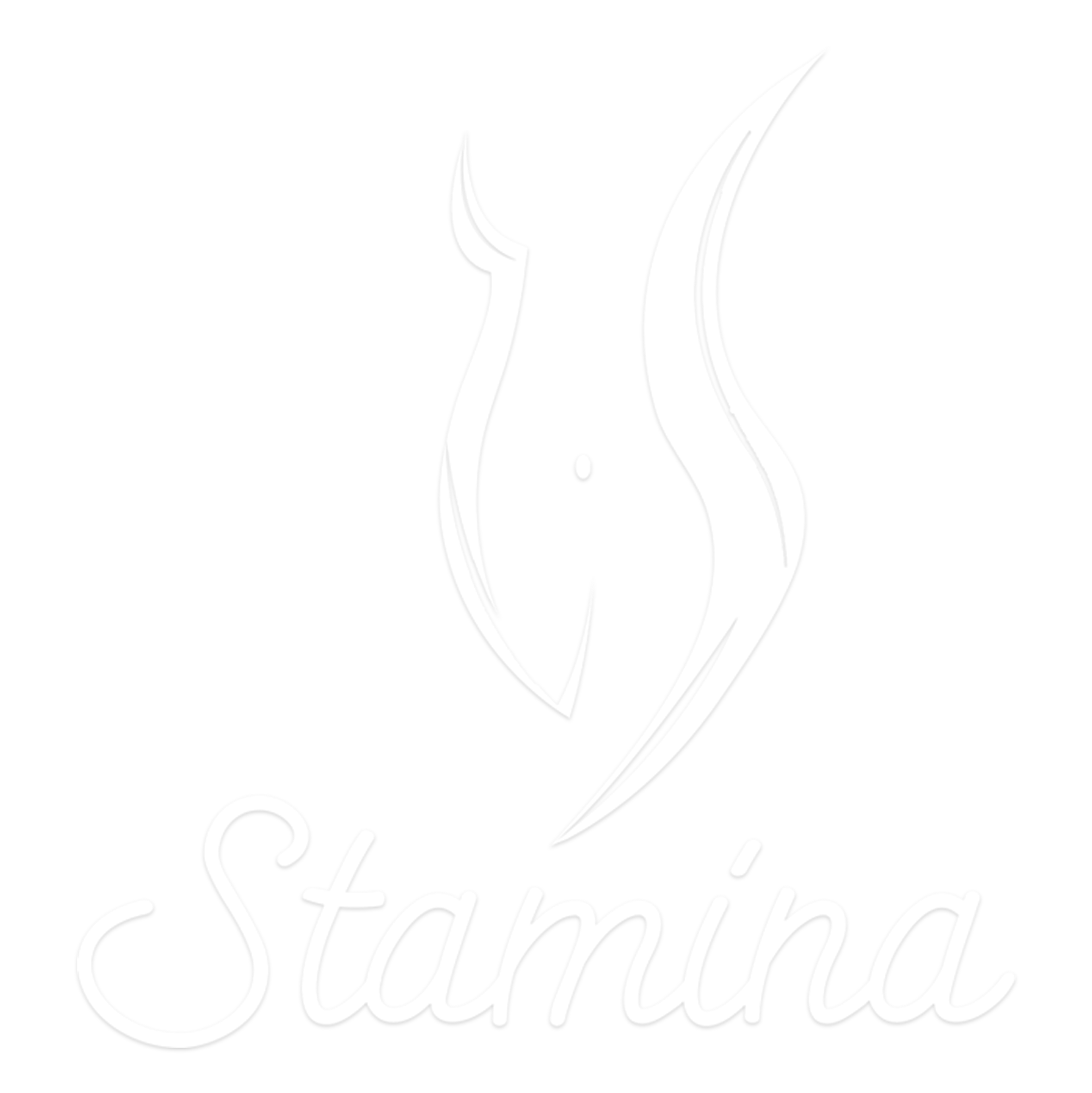 Fajas Stamina