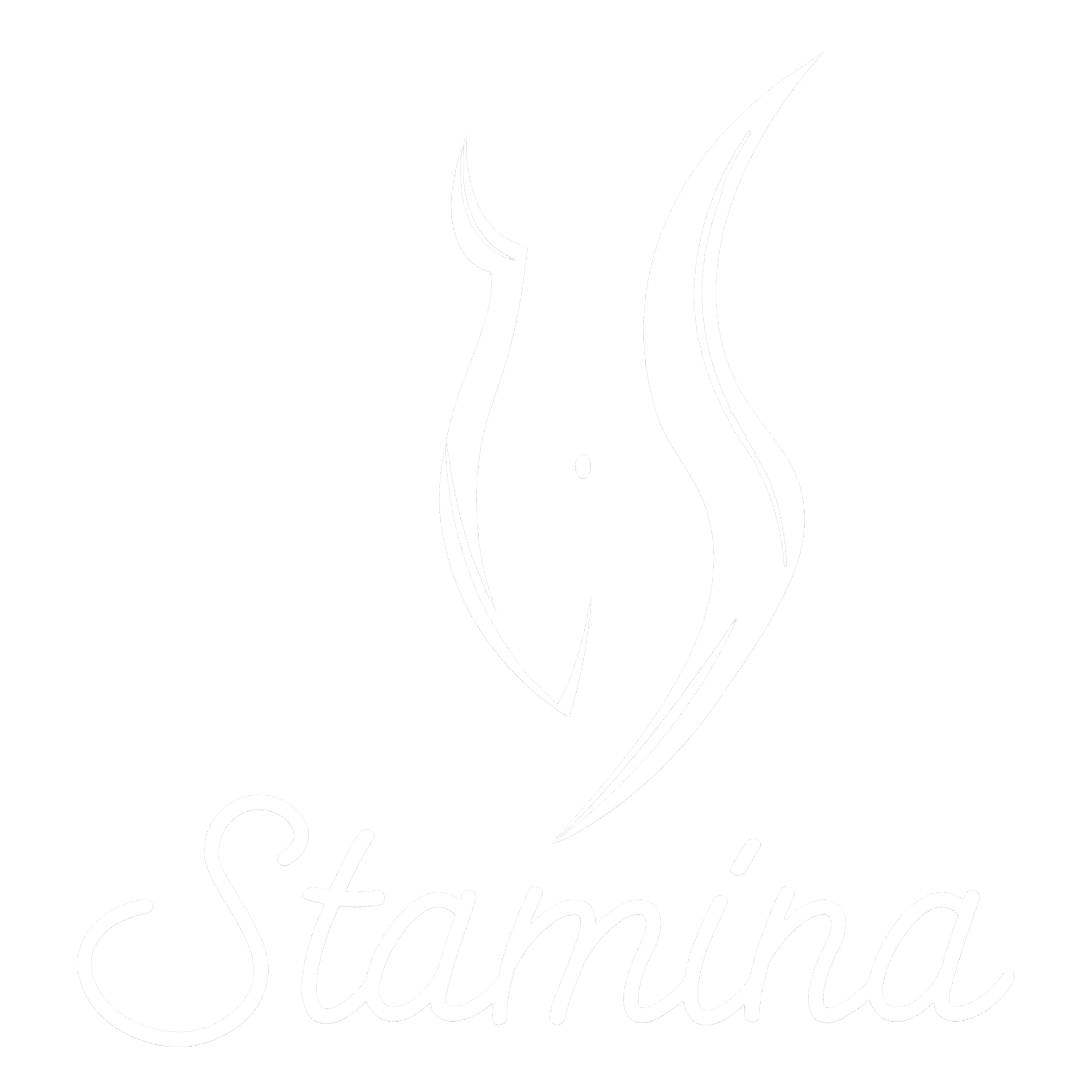 Fajas Stamina